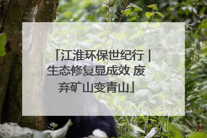 江淮环保世纪行｜生态修复显成效 废弃矿山变青山