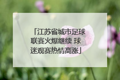 江苏省城市足球联赛火爆继续 球迷观赛热情高涨