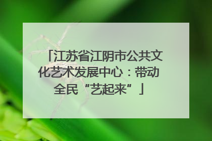江苏省江阴市公共文化艺术发展中心：带动全民“艺起来”