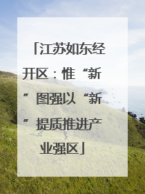 江苏如东经开区：惟“新”图强以“新”提质推进产业强区