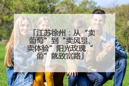 江苏徐州：从“卖葡萄”到“卖风景、卖体验”阳光玫瑰“葡”就致富路