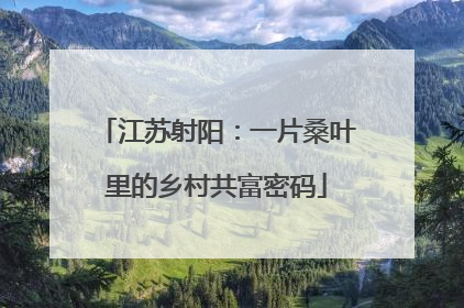江苏射阳：一片桑叶里的乡村共富密码