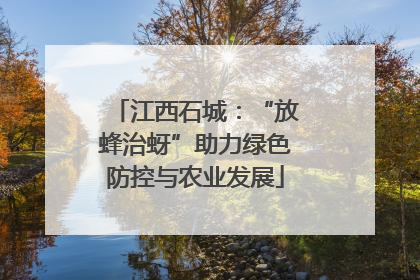 江西石城：“放蜂治蚜”助力绿色防控与农业发展