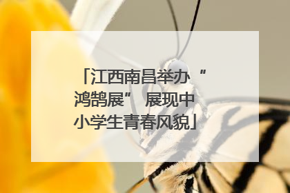 江西南昌举办“鸿鹄展” 展现中小学生青春风貌