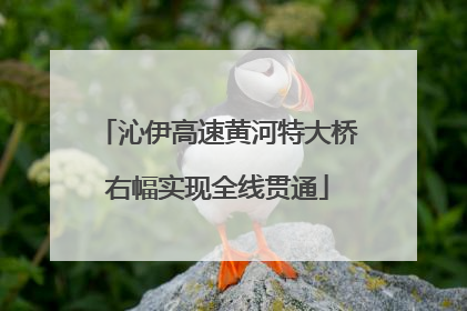 沁伊高速黄河特大桥右幅实现全线贯通