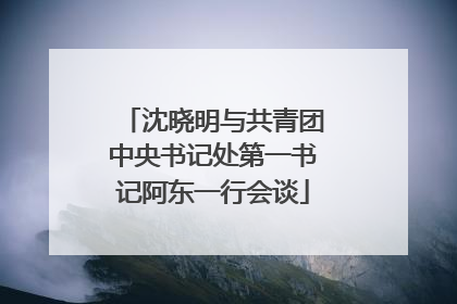 沈晓明与共青团中央书记处第一书记阿东一行会谈