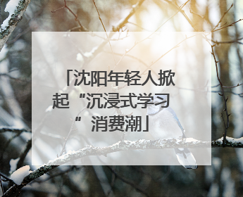 沈阳年轻人掀起“沉浸式学习”消费潮