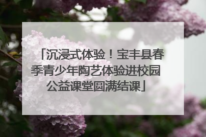 沉浸式体验！宝丰县春季青少年陶艺体验进校园公益课堂圆满结课