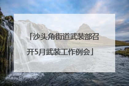 沙头角街道武装部召开5月武装工作例会