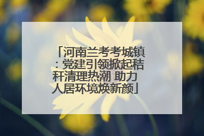 河南兰考考城镇：党建引领掀起秸秆清理热潮 助力人居环境焕新颜