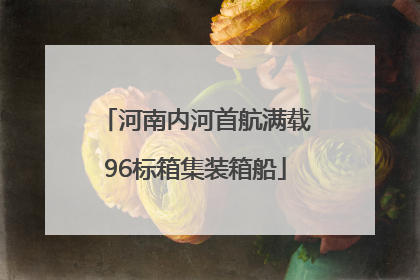 河南内河首航满载96标箱集装箱船