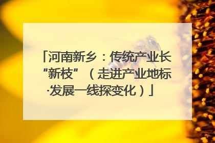 河南新乡：传统产业长“新枝”（走进产业地标·发展一线探变化）