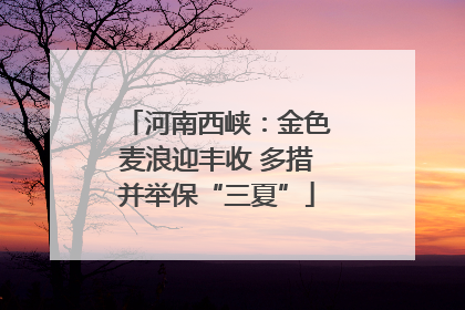 河南西峡：金色麦浪迎丰收 多措并举保“三夏”
