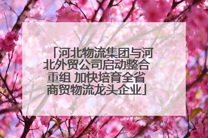 河北物流集团与河北外贸公司启动整合重组 加快培育全省商贸物流龙头企业