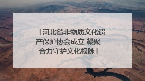 河北省非物质文化遗产保护协会成立 凝聚合力守护文化根脉