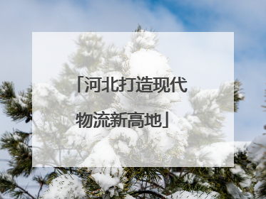 河北打造现代物流新高地