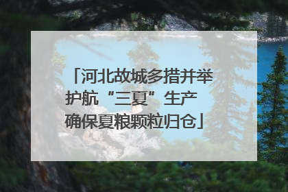 河北故城多措并举护航“三夏”生产 确保夏粮颗粒归仓