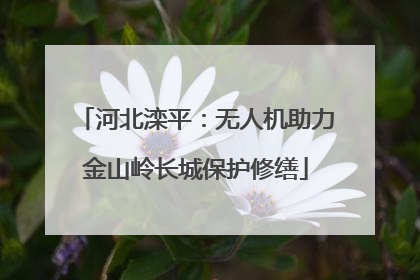 河北滦平：无人机助力金山岭长城保护修缮