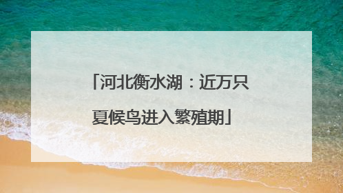 河北衡水湖：近万只夏候鸟进入繁殖期