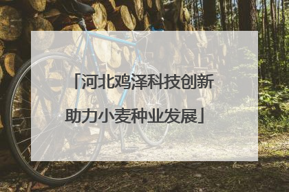 河北鸡泽科技创新助力小麦种业发展