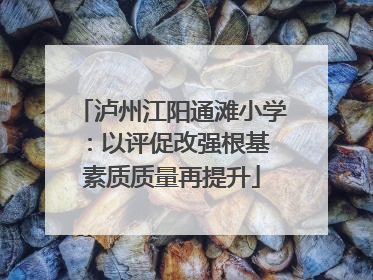 泸州江阳通滩小学：以评促改强根基 素质质量再提升