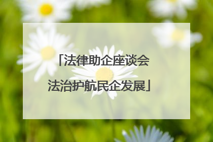 法律助企座谈会 法治护航民企发展