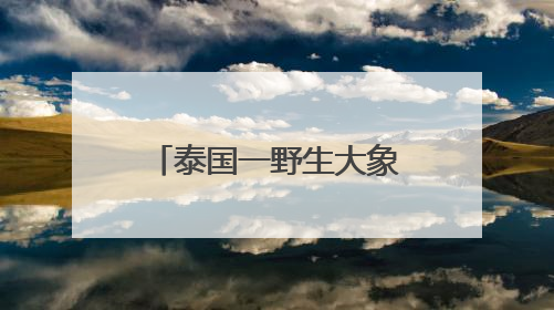 泰国一野生大象凌晨闯进商店，狂吃零食和鸡蛋