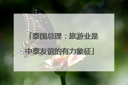 泰国总理：旅游业是中泰友谊的有力象征