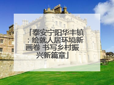 泰安宁阳华丰镇：绘就人居环境新画卷 书写乡村振兴新篇章