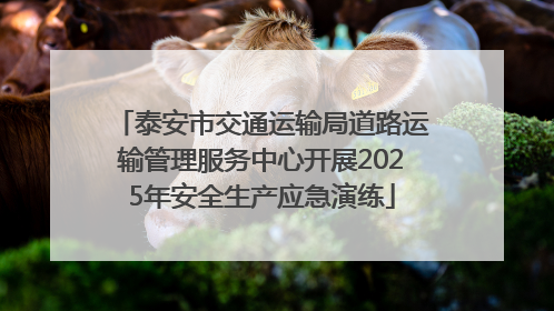泰安市交通运输局道路运输管理服务中心开展2025年安全生产应急演练