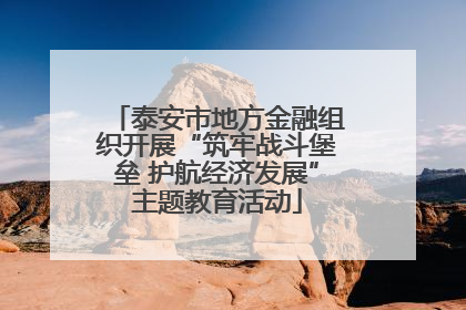 泰安市地方金融组织开展“筑牢战斗堡垒 护航经济发展”主题教育活动