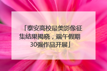 泰安高校最美影像征集结果揭晓，端午假期30强作品开展