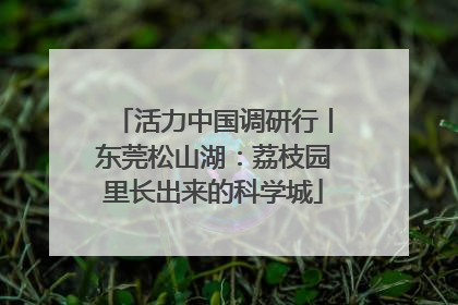 活力中国调研行丨东莞松山湖：荔枝园里长出来的科学城