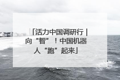 活力中国调研行｜向“智”！中国机器人“跑”起来