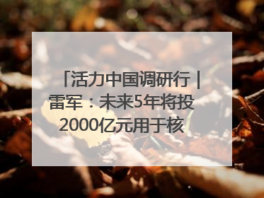 活力中国调研行｜雷军：未来5年将投2000亿元用于核心技术研发