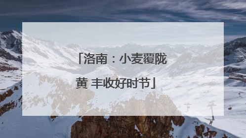 洛南：小麦覆陇黄 丰收好时节