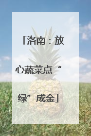 洛南：放心蔬菜点“绿”成金