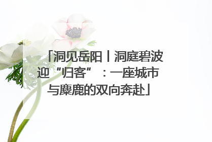 洞见岳阳丨洞庭碧波迎“归客”：一座城市与麋鹿的双向奔赴