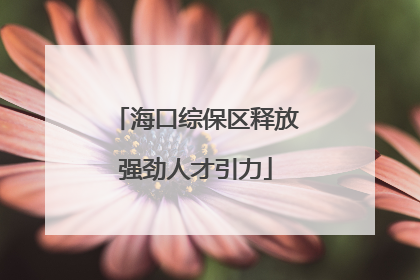 海口综保区释放强劲人才引力