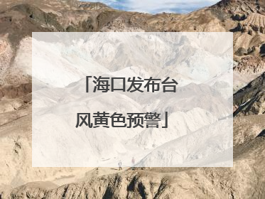 海口发布台风黄色预警