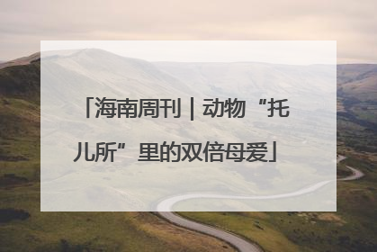 海南周刊｜动物“托儿所”里的双倍母爱