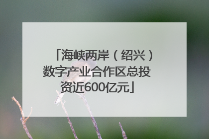海峡两岸（绍兴）数字产业合作区总投资近600亿元