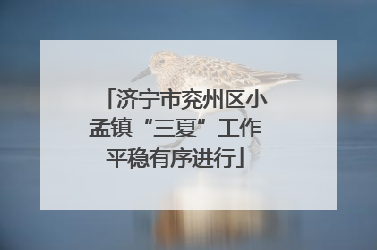 济宁市兖州区小孟镇“三夏”工作平稳有序进行