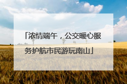 浓情端午，公交暖心服务护航市民游玩南山