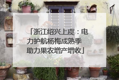 浙江绍兴上虞：电力护航杨梅成熟季 助力果农增产增收