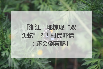 浙江一地惊现“双头蛇”？！村民吓懵：还会倒着爬