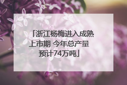 浙江杨梅进入成熟上市期 今年总产量预计74万吨
