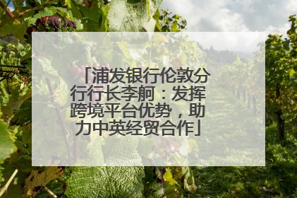 浦发银行伦敦分行行长李舸：发挥跨境平台优势，助力中英经贸合作