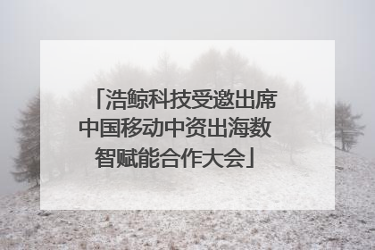 浩鲸科技受邀出席中国移动中资出海数智赋能合作大会