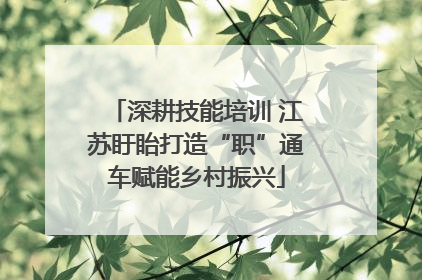 深耕技能培训 江苏盱眙打造“职”通车赋能乡村振兴